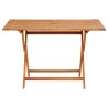 Table pliable de jardin 120x70x75 cm bois d'eucalyptus solide 