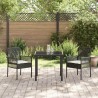 Chaises de jardin 2 pcs avec coussins Noir Poly Rattan 