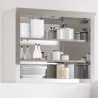Armoire murale de cuisine avec étagères acier inoxydable 