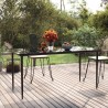 Table à dîner de jardin Noir 160x80x74 cm Acier et verre trempé 