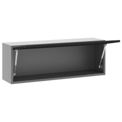 Armoire à outils avec porte à gaz Noir 100x25x35 cm 