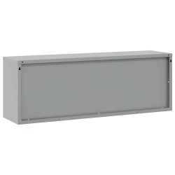 Armoire à outils avec porte à gaz Noir 100x25x35 cm 