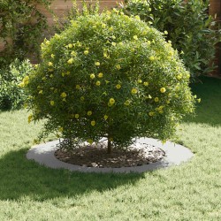Jardinières Blanches Blanches Plastique Grand Pliable 