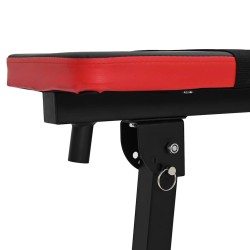 Banc de Poids Ajustable avec Station de Dips Acier Noir 