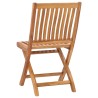 Chaises de jardin pliables lot de 2 Bois de teck massif 