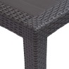 Table de jardin Marron 150x90x72 cm Plastique Aspect de rotin 