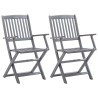 Chaises pliables d'extérieur lot de 2 et coussins Bois d'acacia 