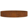 Jardinières en acier corten Acier corten Grand Durable 