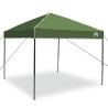 Tente à abri Vert 250 x 250 x 227 / 236 / 245 cm Tissu Oxford 