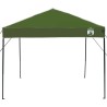 Tente à abri Vert 250 x 250 x 227 / 236 / 245 cm Tissu Oxford 