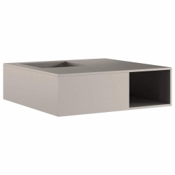 VitreXL Foyer avec Rangement à Bûches 100x100x30 cm Acier Résistant aux Intempéries 