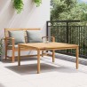 Table basse Marron 110 x 110 x 45 cm Bois de teck massif 