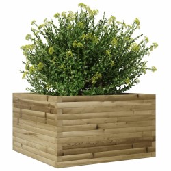Jardinière 80x80x45,5 cm bois de pin imprégné 