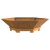 Brasero Hexagonal 100x100x28 cm en Acier Weathering 