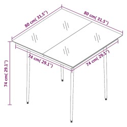 Table à dîner de jardin Noir 80x80x74 cm Acier et verre 