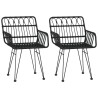 Chaises de jardin lot de 2 avec accoudoir Noir 56x64x80 cm 