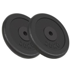 Plaque de poids 2 pcs 2x20 kg Fonte 