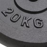 Plaque de poids 2 pcs 2x20 kg Fonte 