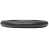Plaque de poids 2 pcs 2x20 kg Fonte 