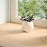Appuis de fenêtre 2 pcs non traité 90x40x2 cm bois chêne massif 