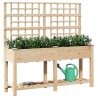 Jardinière avec treillis et étagère 161x43x152 cm en bois massif de sapin 