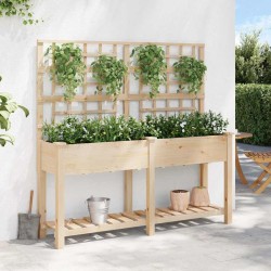 Jardinière avec treillis et étagère 161x43x152 cm en bois massif de sapin 