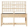 Jardinière avec treillis et étagère 161x43x152 cm en bois massif de sapin 
