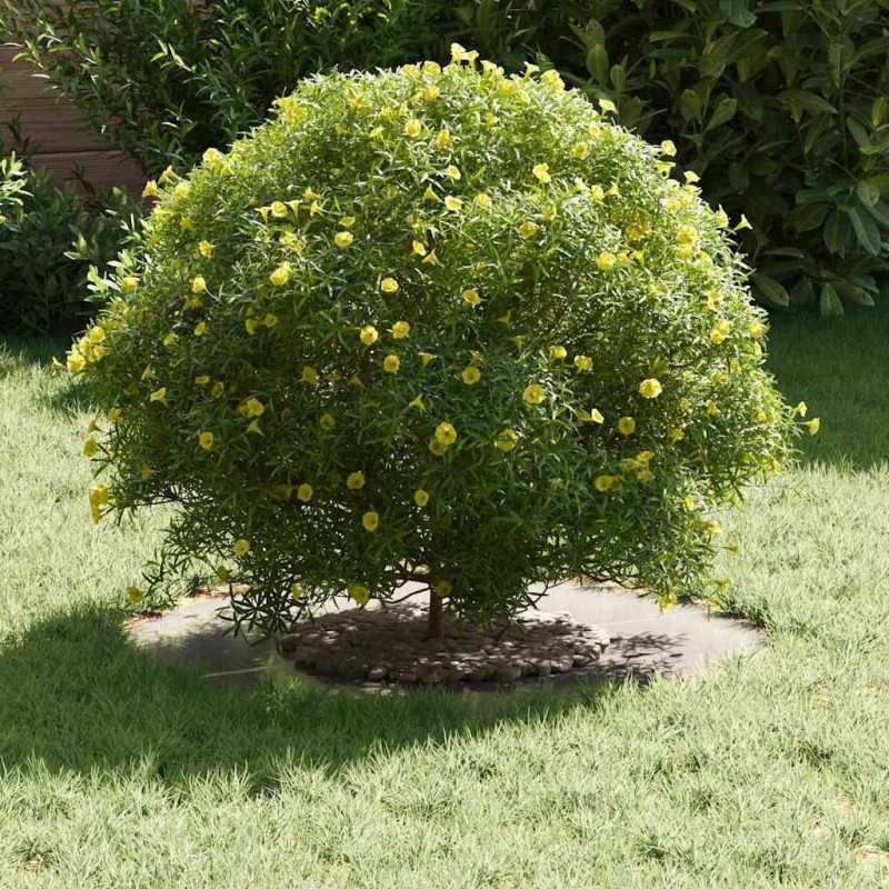 Jardinière en acier inoxydable Acier inoxydable Moyen 