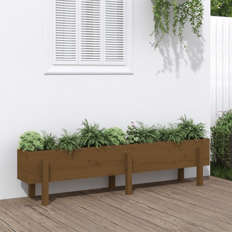 Lit surélevé de jardin marron miel 160x30x38 bois de pin massif Lit surélevé de jardin marron miel 160x30x38 bois de pin massif