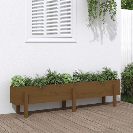 Lit surélevé de jardin marron miel 160x30x38 bois de pin massif 