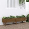 Lit surélevé de jardin marron miel 160x30x38 bois de pin massif 