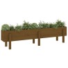 Lit surélevé de jardin marron miel 160x30x38 bois de pin massif 