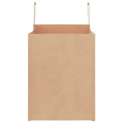 Sacs en papier 50 pcs avec poignées marron 32x22x28 cm 