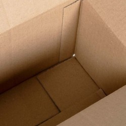 Boîte Pliable 50 pcs 24x13x13 cm Carton 