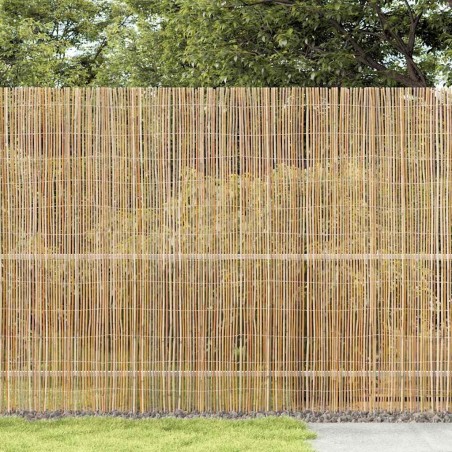 Clôture en Bambou 300x150 cm 