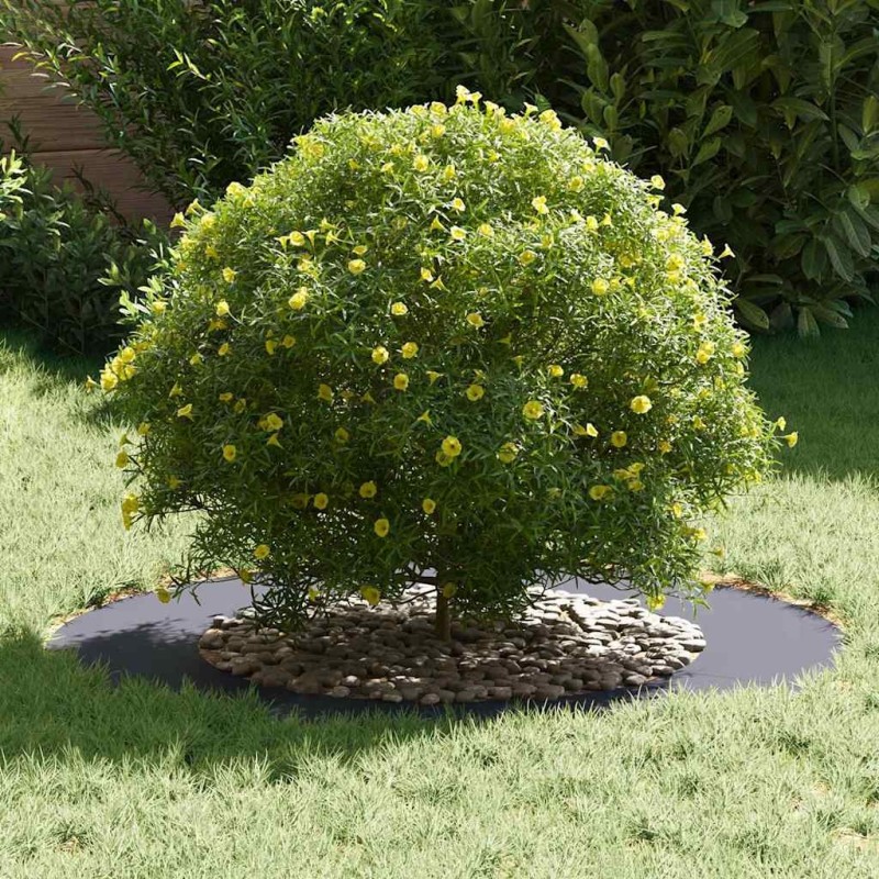 Pot anthracite Anthracite Plastique Grand Grand pot Rond 