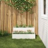 Pot de jardin 2 niveaux 100x60x45 cm Acier blanc 