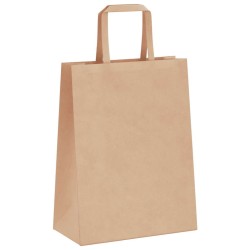 Sacs en papier 250 pcs avec poignées marron 21x11x28 cm 