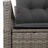 Canapé de jardin 2 places avec rangement et coussins en poly rattan gris 