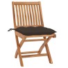 Chaises de jardin lot de 2 et coussins taupe Bois teck massif 