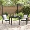Ensemble de Salle à Manger de Jardin 3 pcs Noir 80 x 80 x 73 cm 