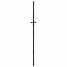 Porte de Jardin Noir 105 x 200 cm Acier peint par poudre 