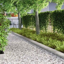 Bordure de jardin Argent 450 x 20 cm Acier galvanisé 