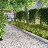 Bordure de jardin Argent 450 x 20 cm Acier galvanisé 