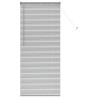 Store de Fenêtre avec des rideaux Argenté 80 x 175 cm Aluminium 