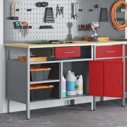 Banc de travail avec porte verrouillable Rouge 100x55x85 cm Acier 