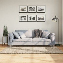 Tapis ISTAN à poils longs aspect brillant beige 120x170 cm 