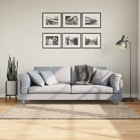 Tapis ISTAN à poils longs aspect brillant beige 120x170 cm 