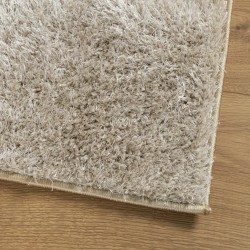Tapis ISTAN à poils longs aspect brillant beige 120x170 cm 