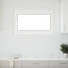 Fenêtre de sous-sol« RISOR » 100 x 50 cm oscillo-battante DIN droite anthracite 